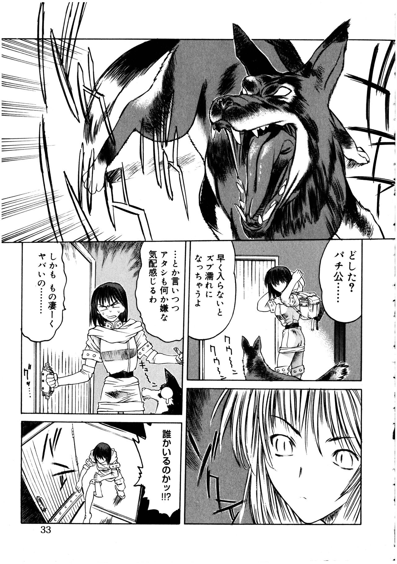 Page 33