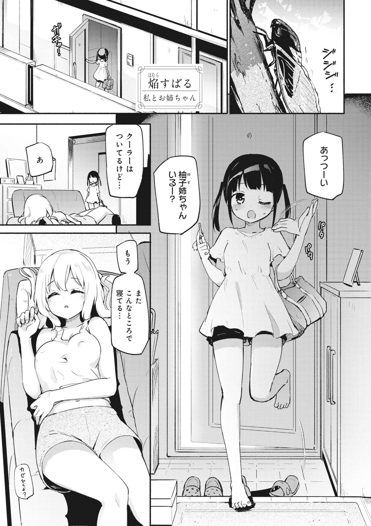 私とお姉ちゃん (どんなおっぱいがお好きですか？)