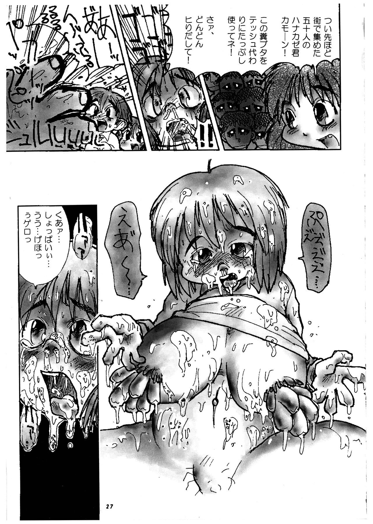 Page 27