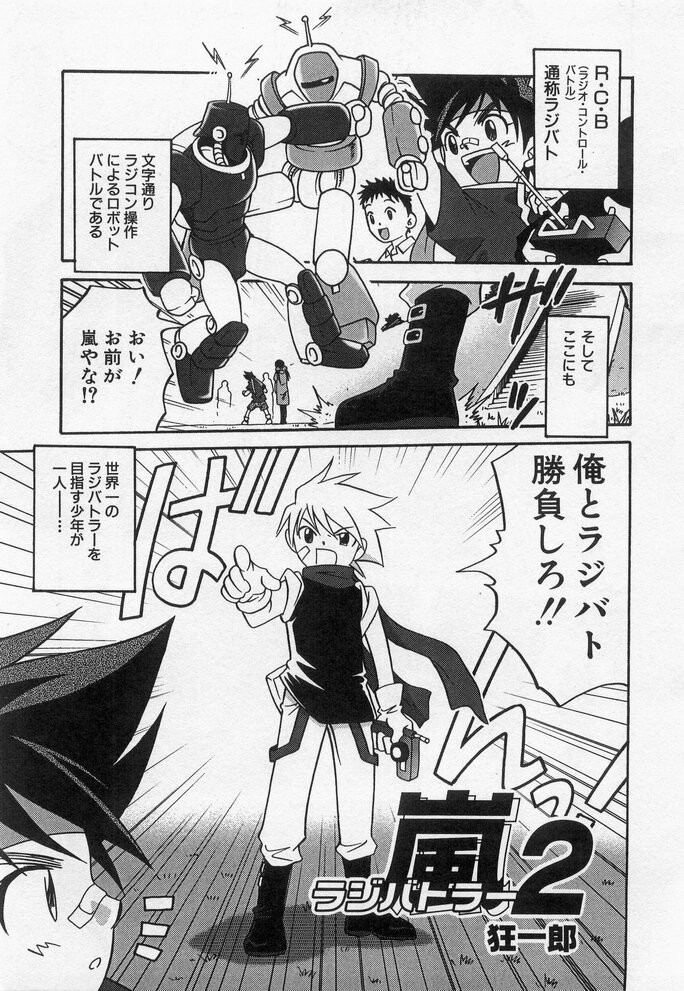 Page 101