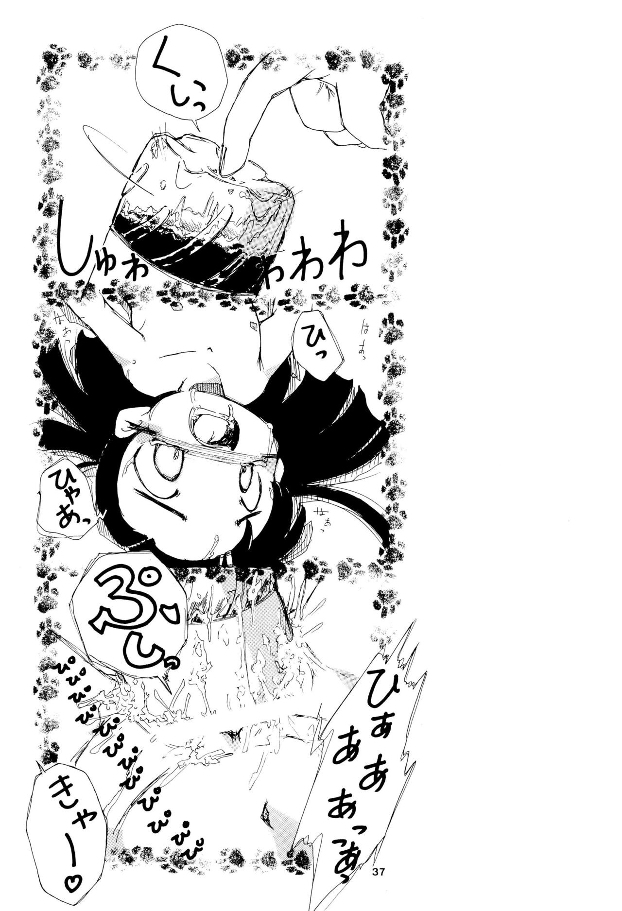 Page 37