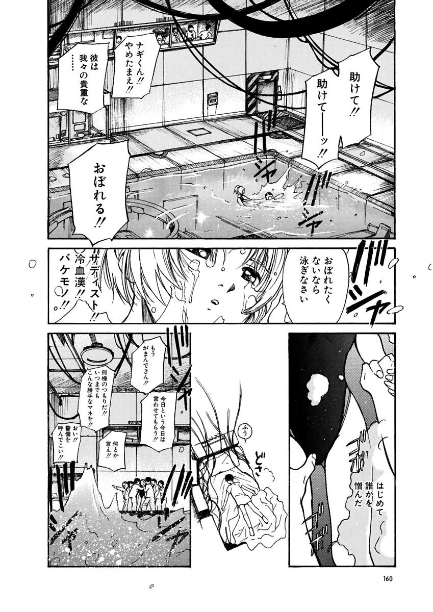 Page 161