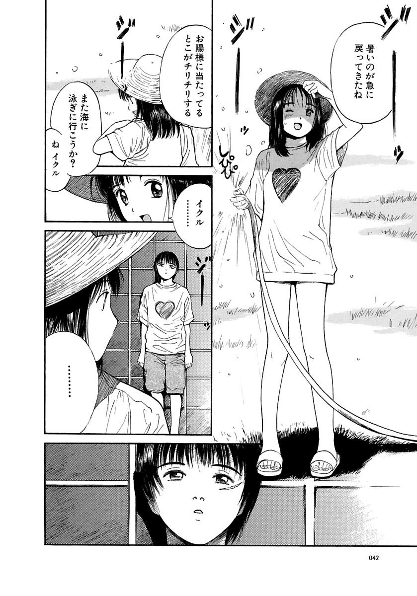 Page 43
