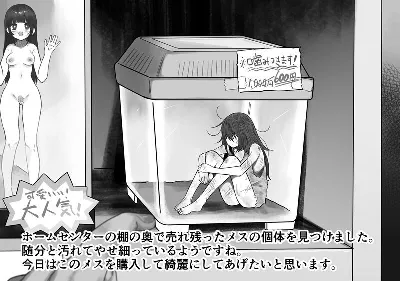 ホームセンターで売れ残っていたボロボロのメスを綺麗にしてあげると...
