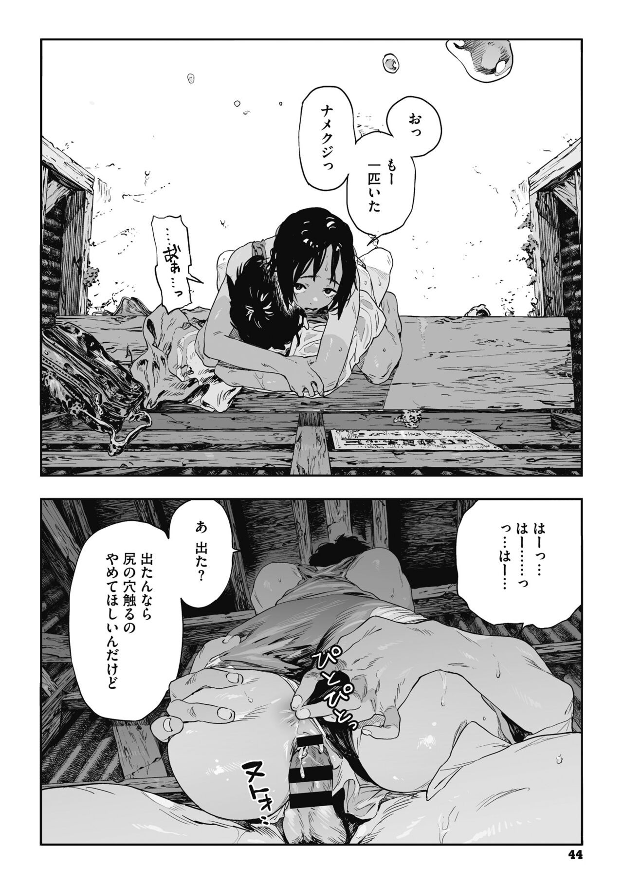 Page 43