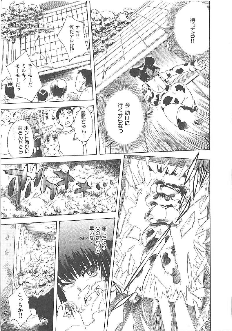 Page 228