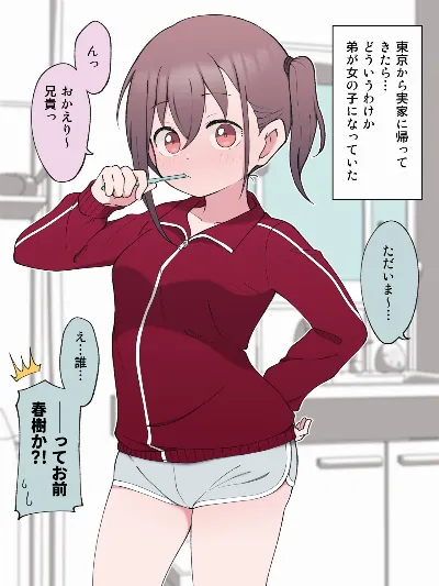 最終的にTS弟とラブホテルに行く話