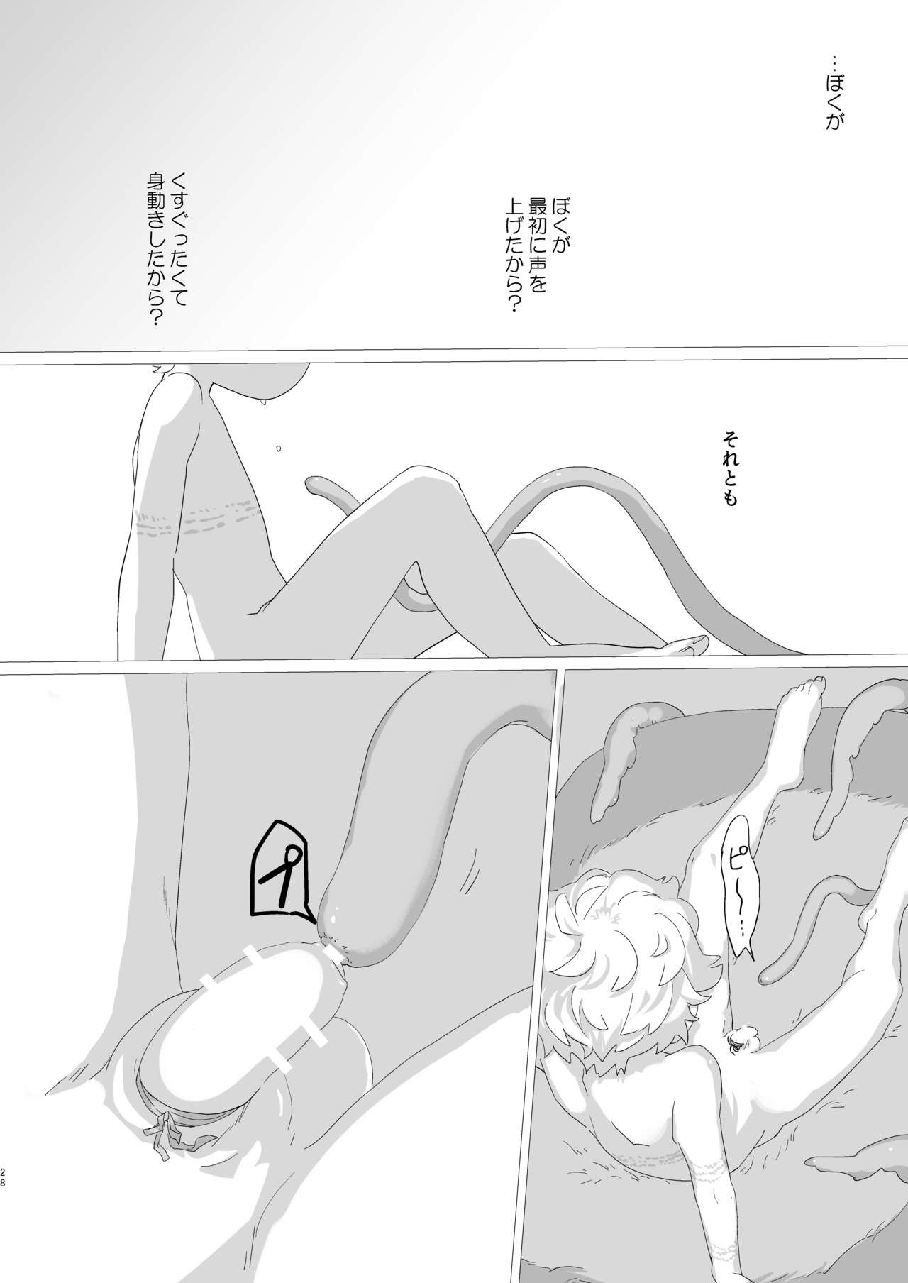 Page 29
