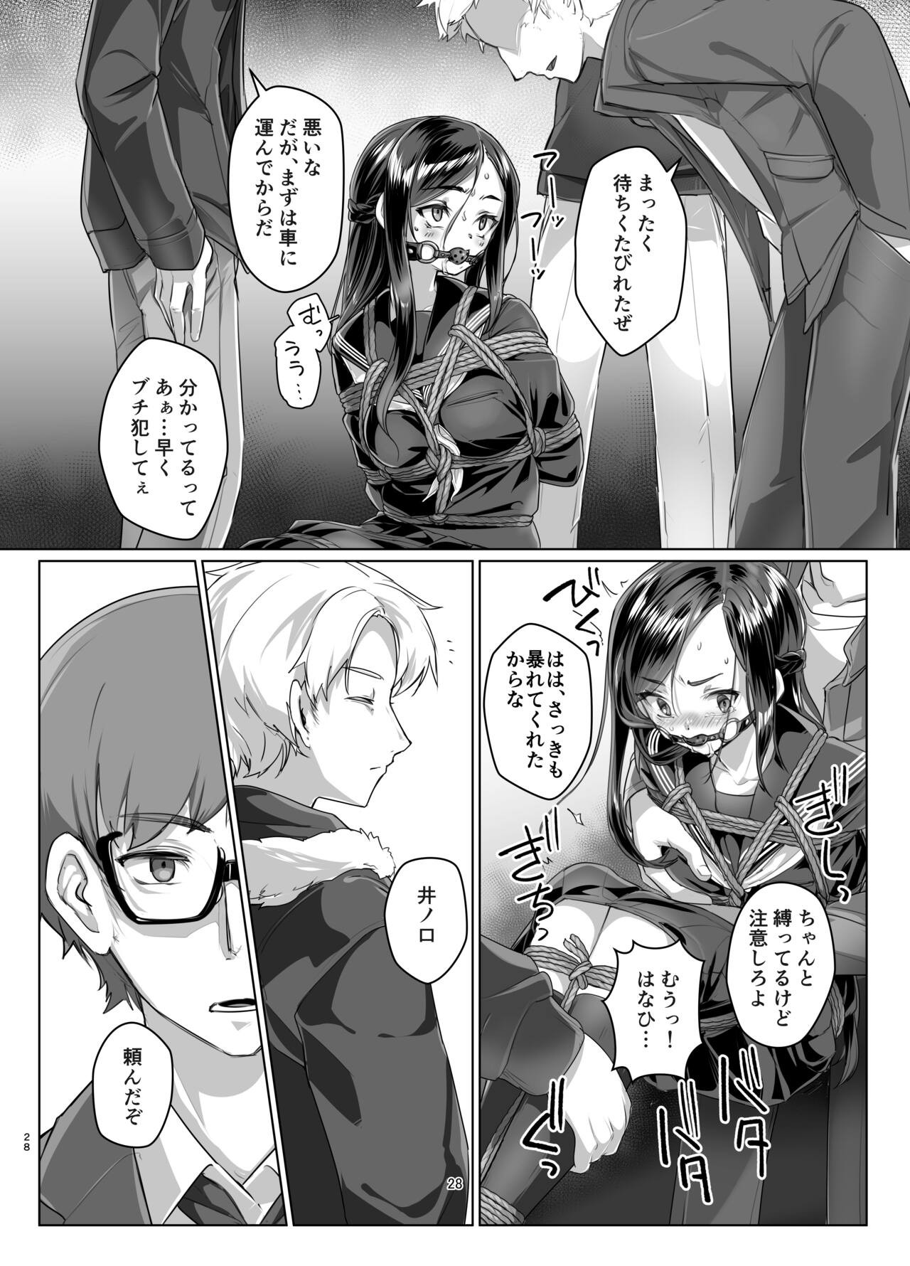 Page 27