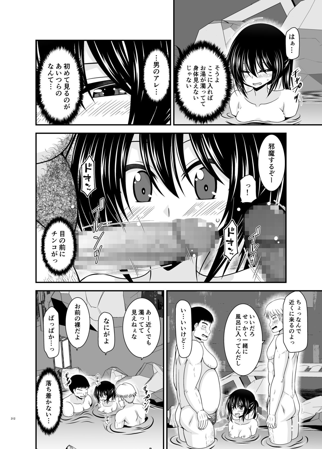 Page 312