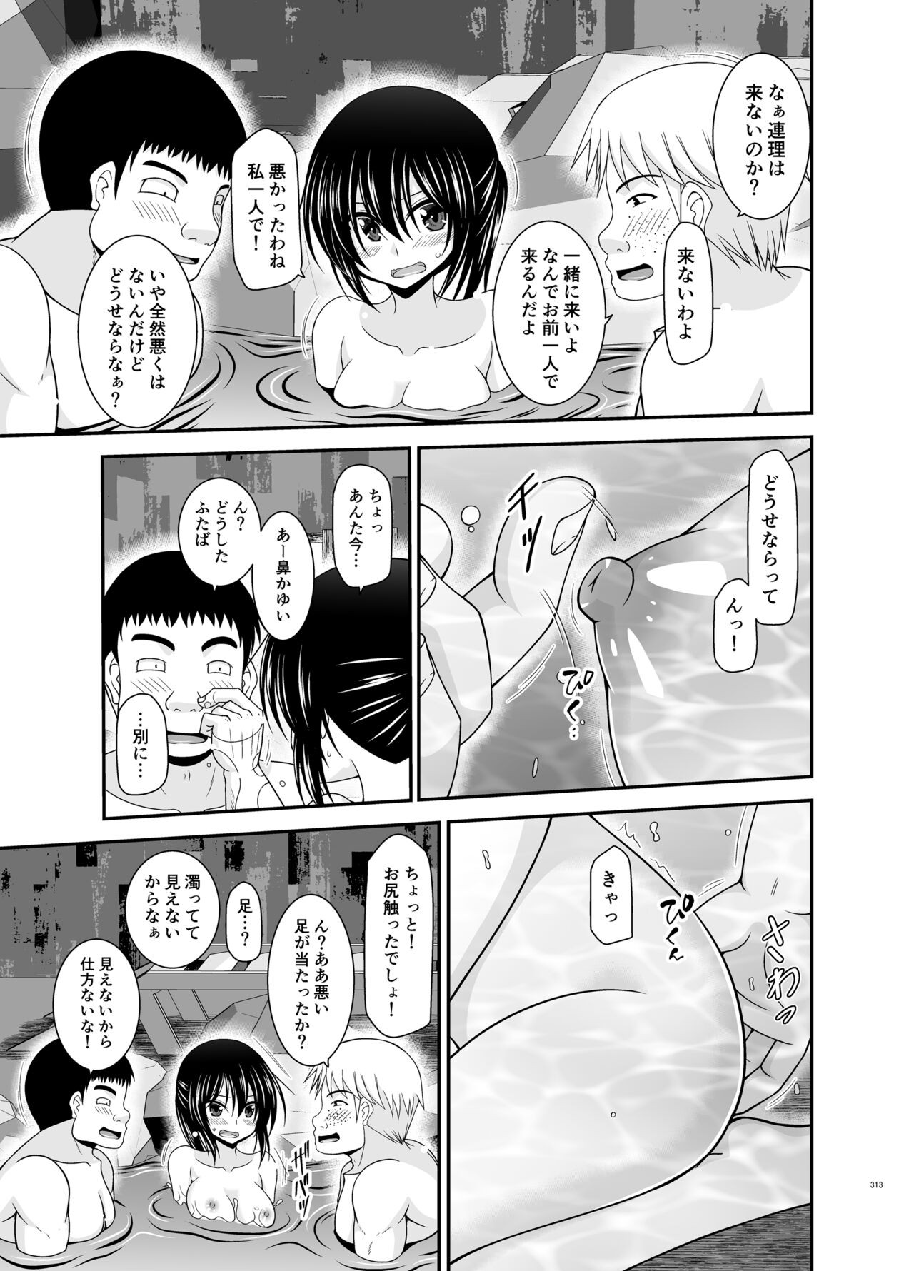 Page 313
