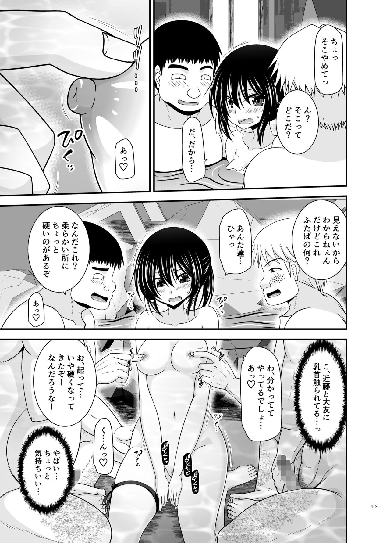 Page 315