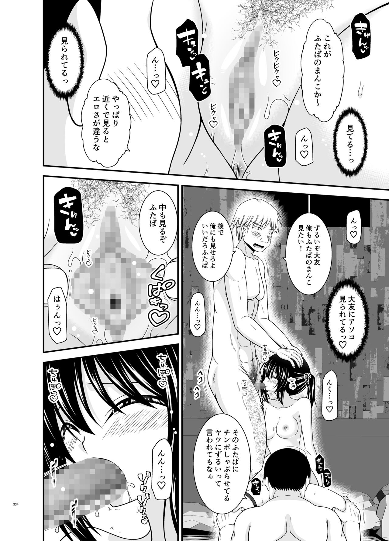Page 334
