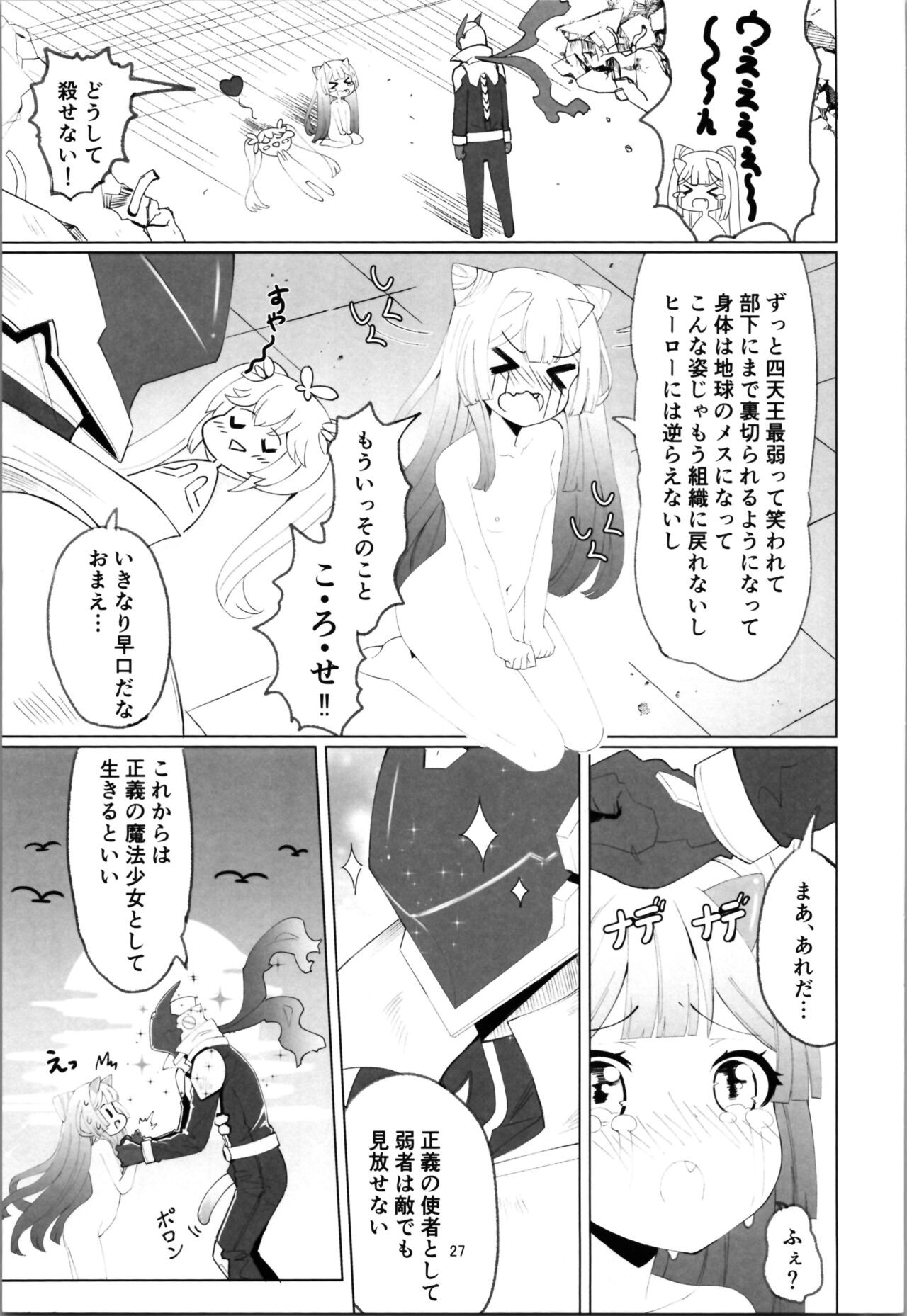 Page 27