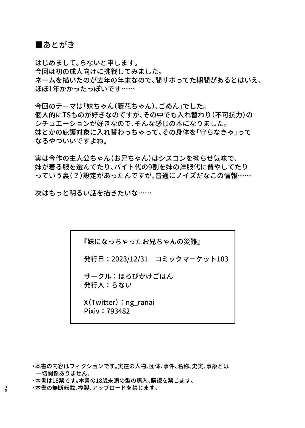 Page 29