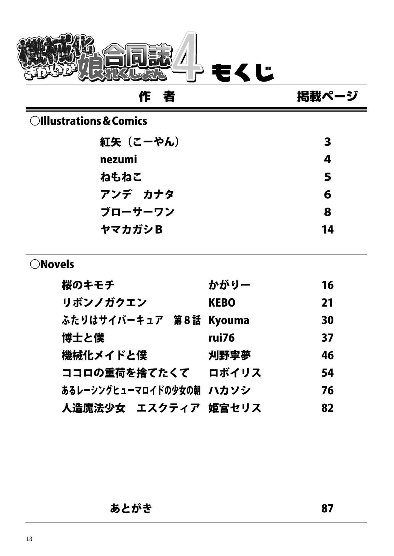 Page 13
