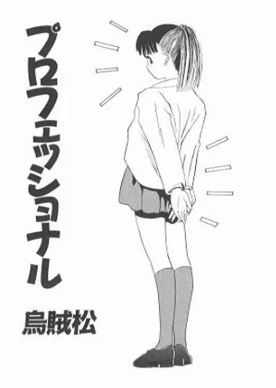 プロフェッショナル