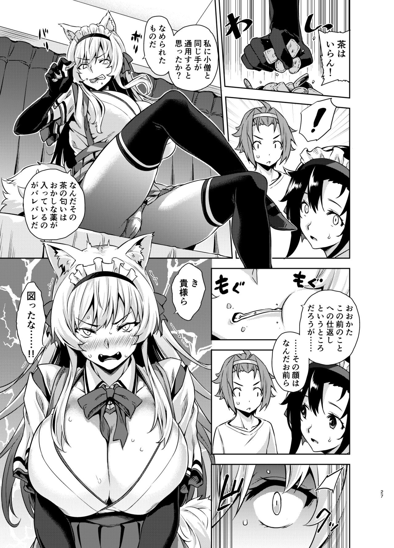Page 27