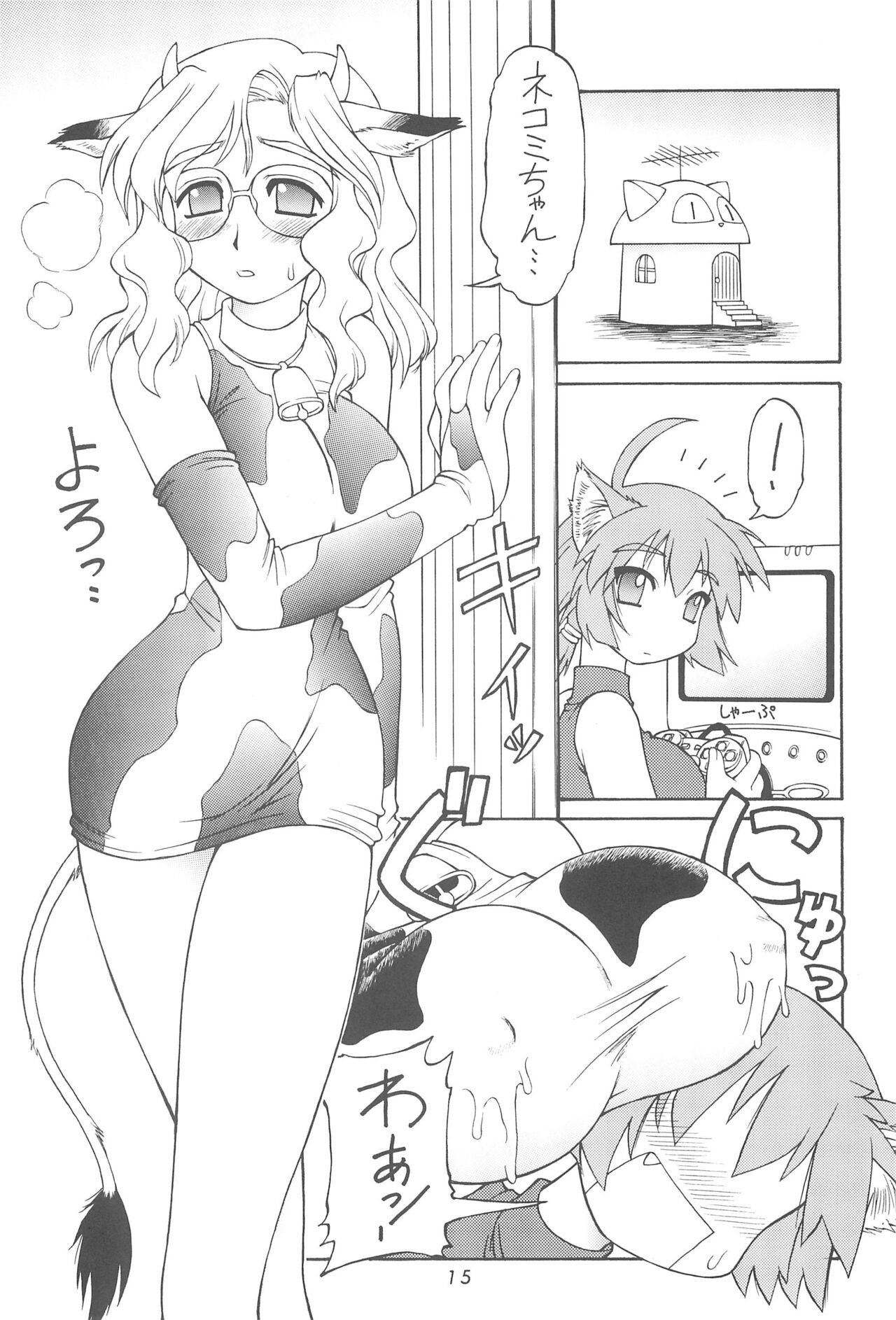 Page 15