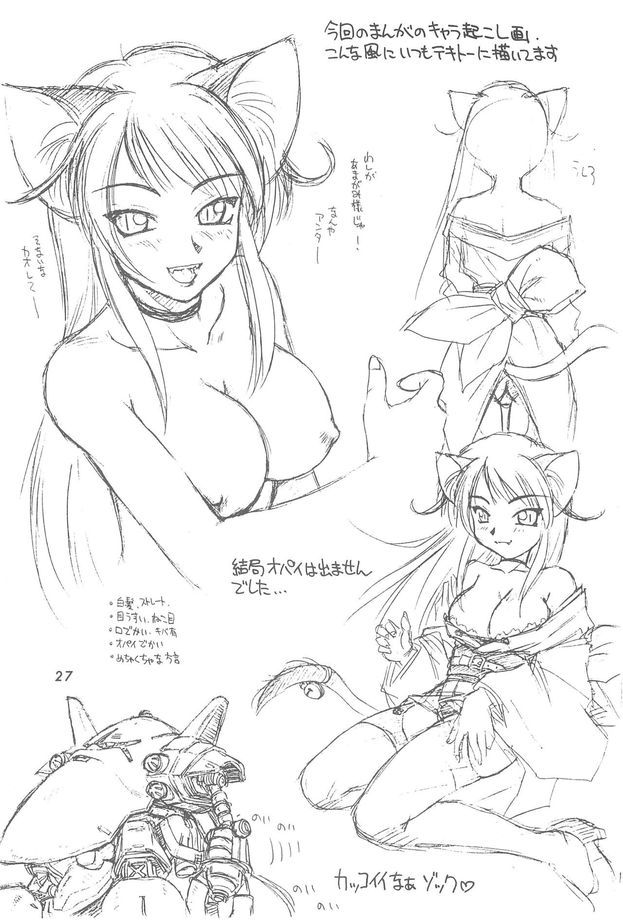 Page 27