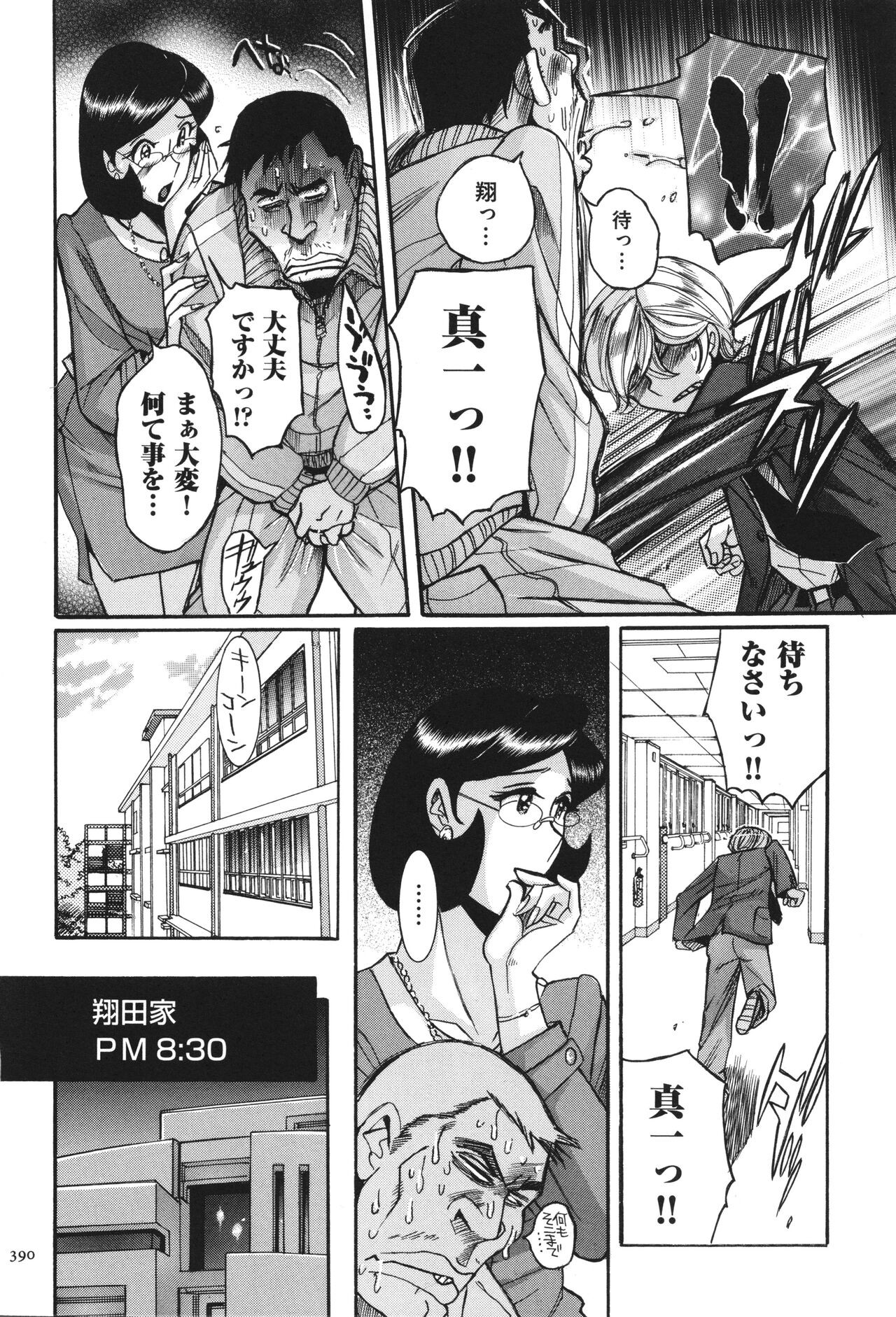Page 391