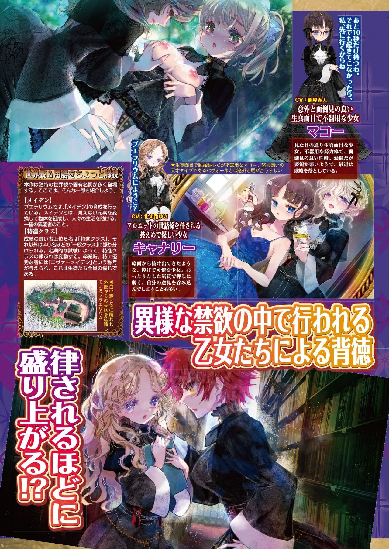 Page 62