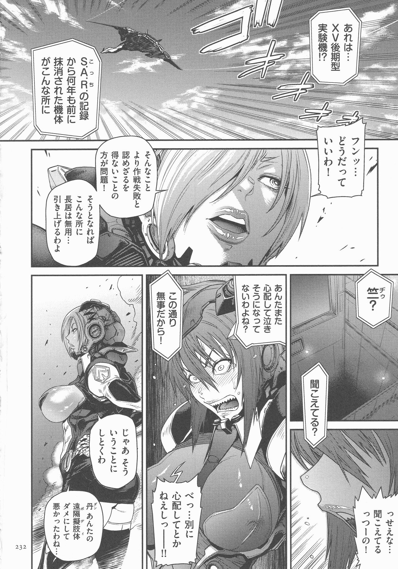 Page 231