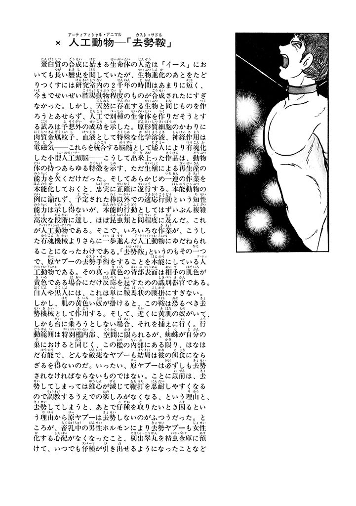 Page 240