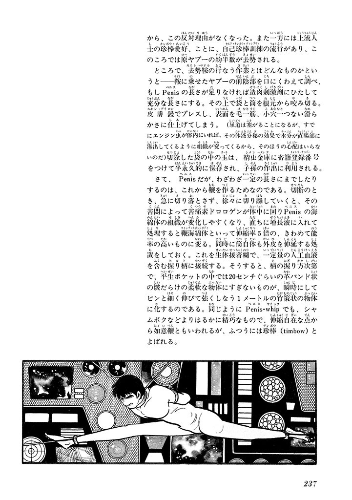 Page 241