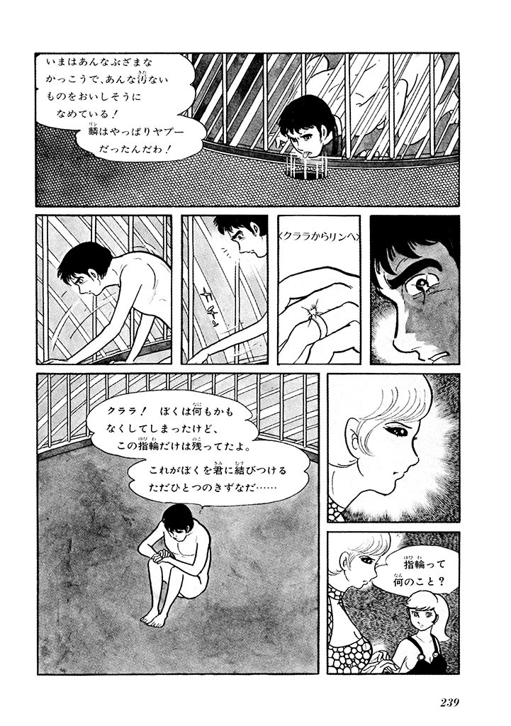 Page 243