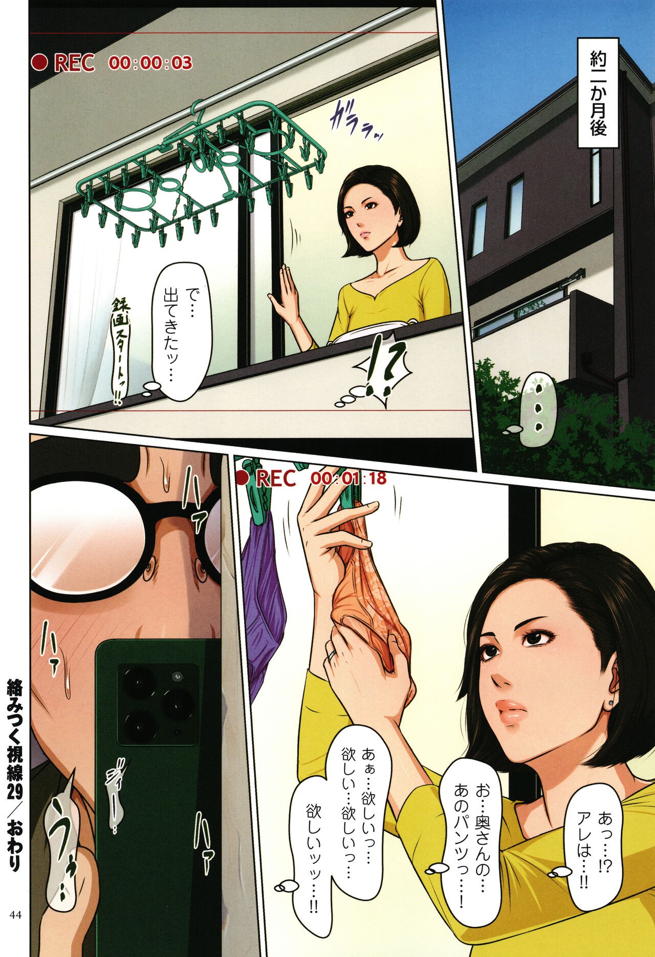 Page 45