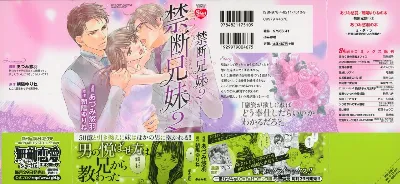 禁断兄 (2)