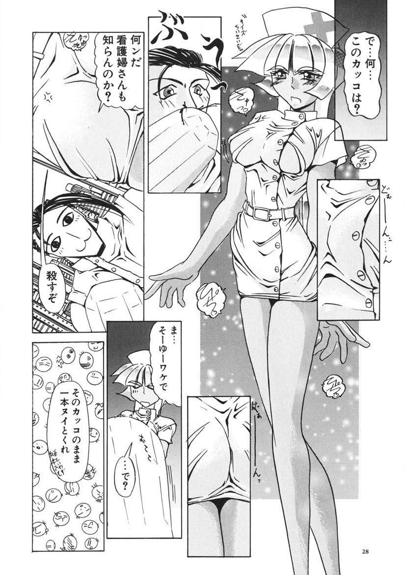 Page 27