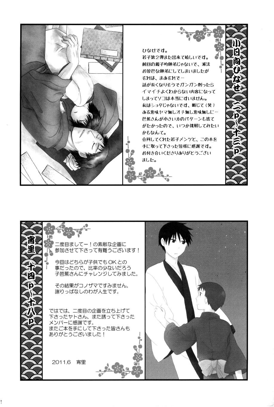 Page 33