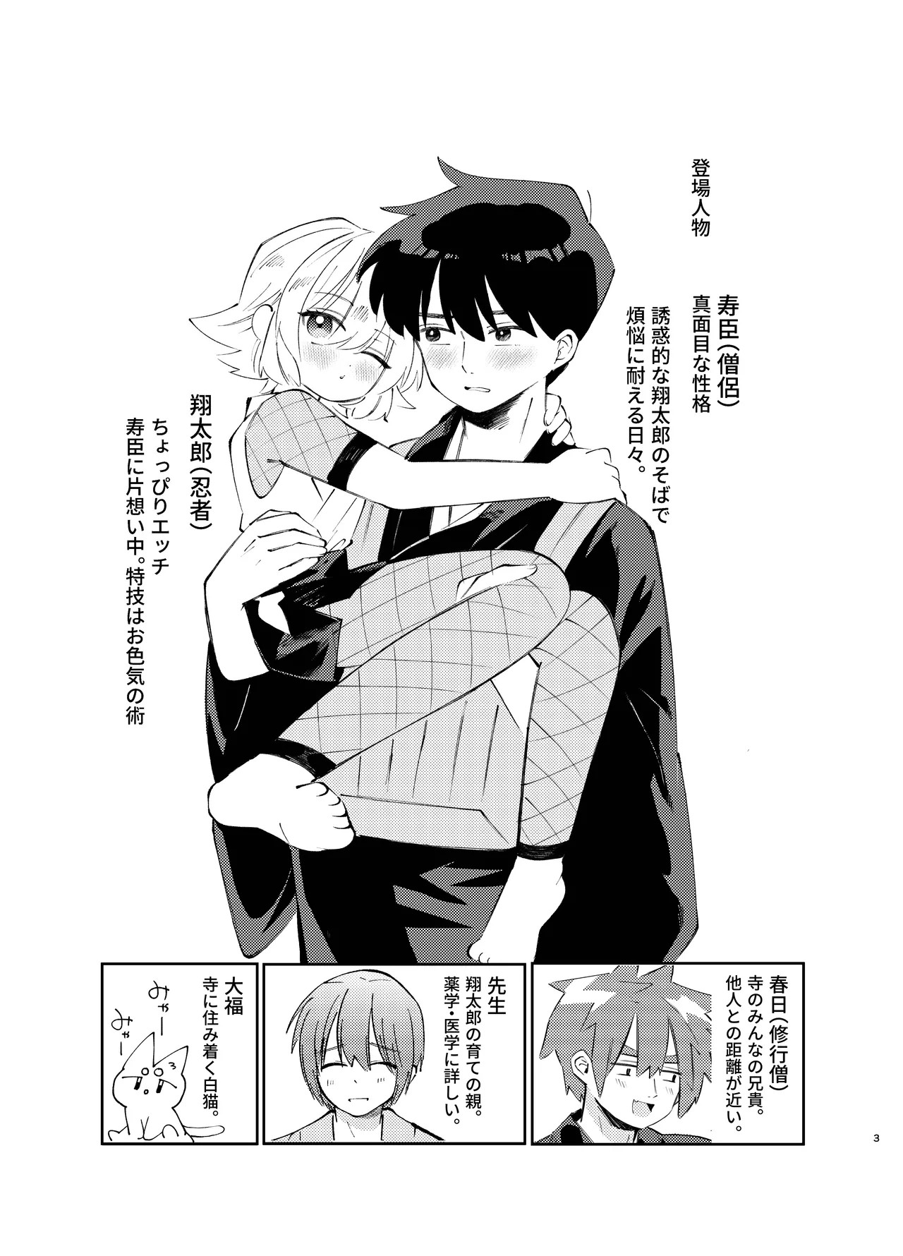 Page 3