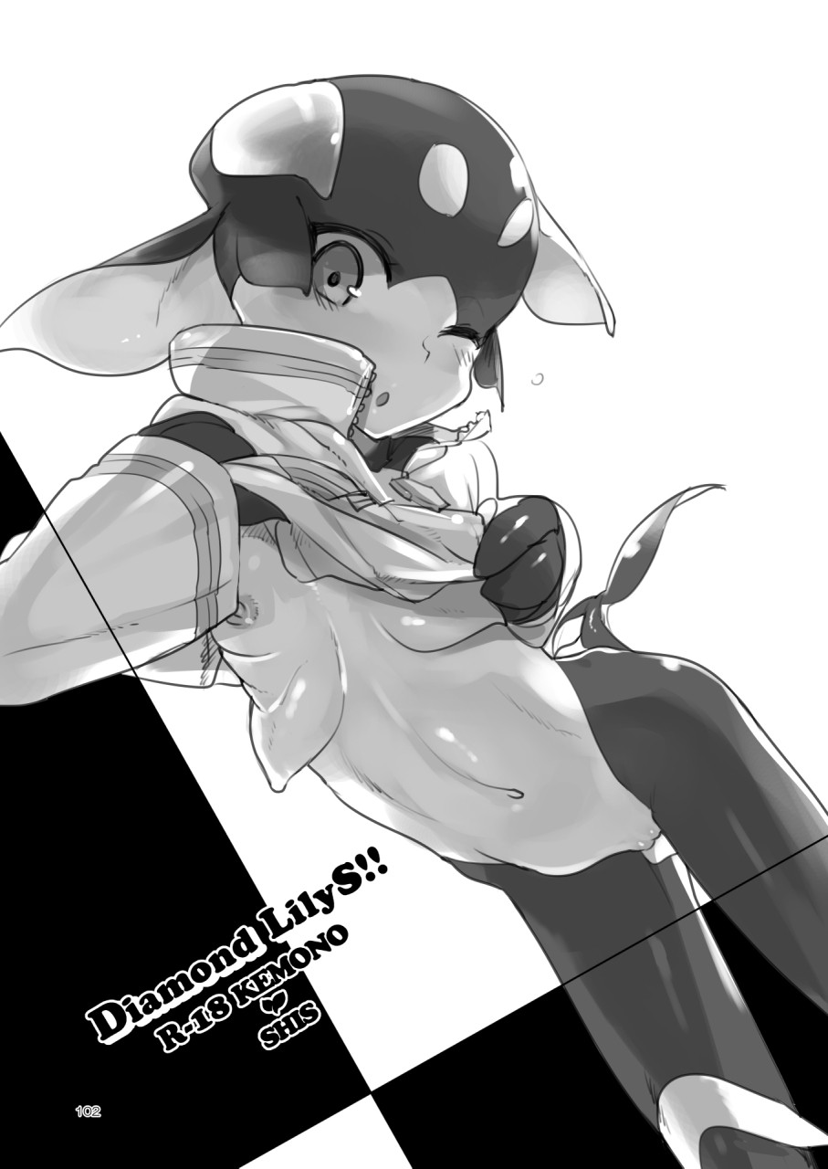 Page 101