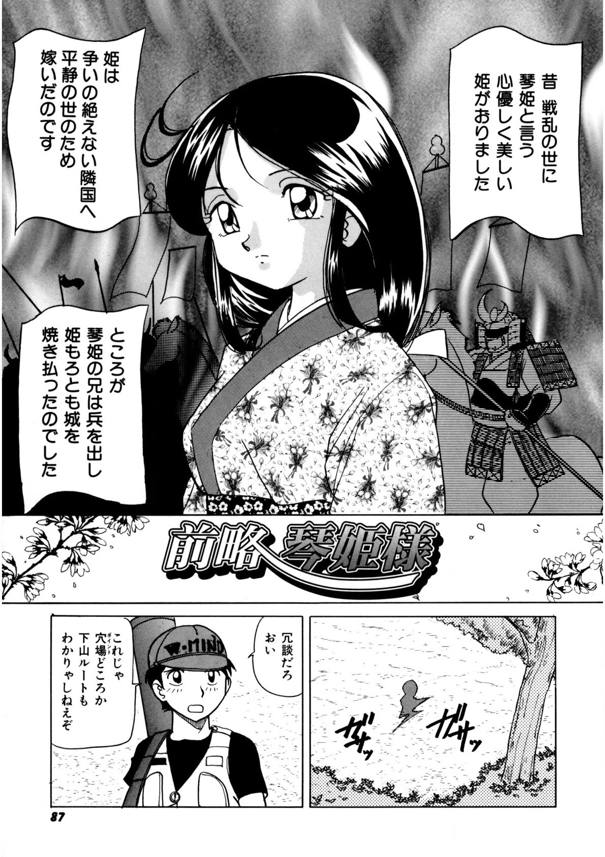 Page 86