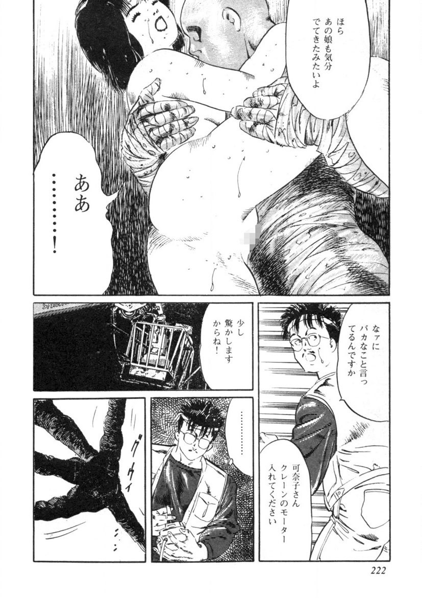 Page 223