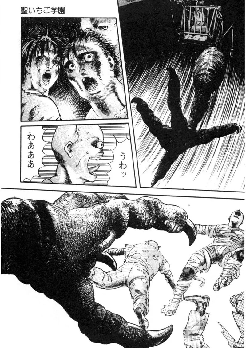 Page 224