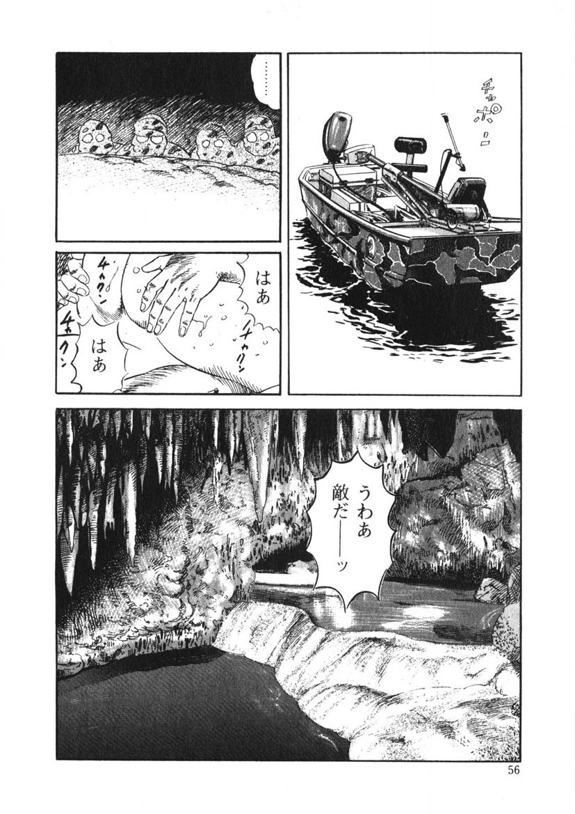 Page 55