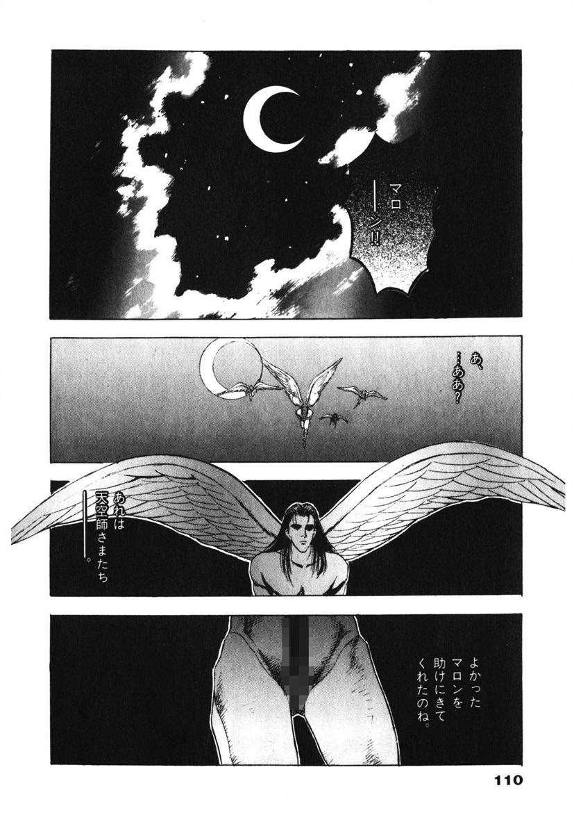 Page 111