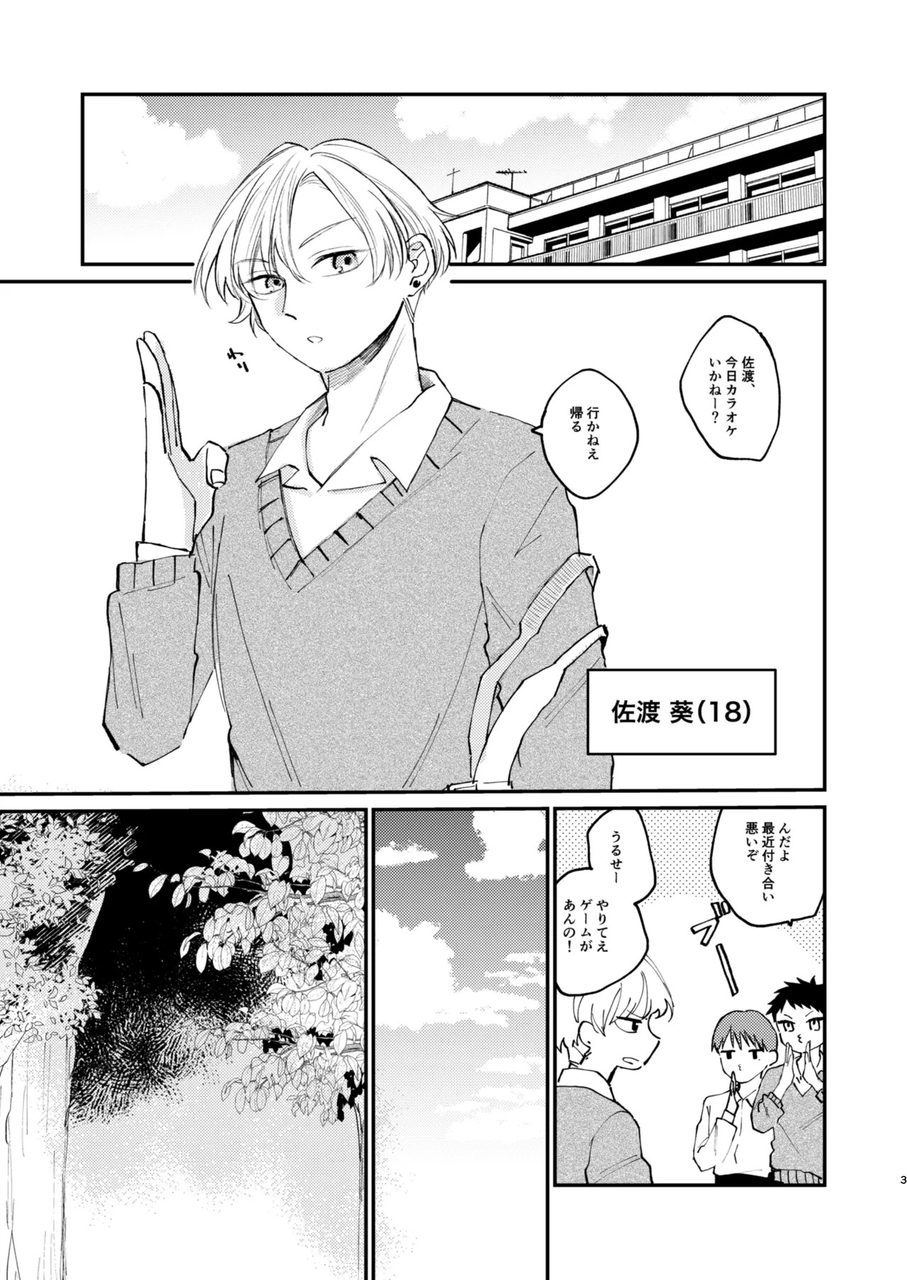Page 3