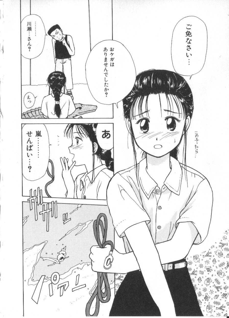 Page 204