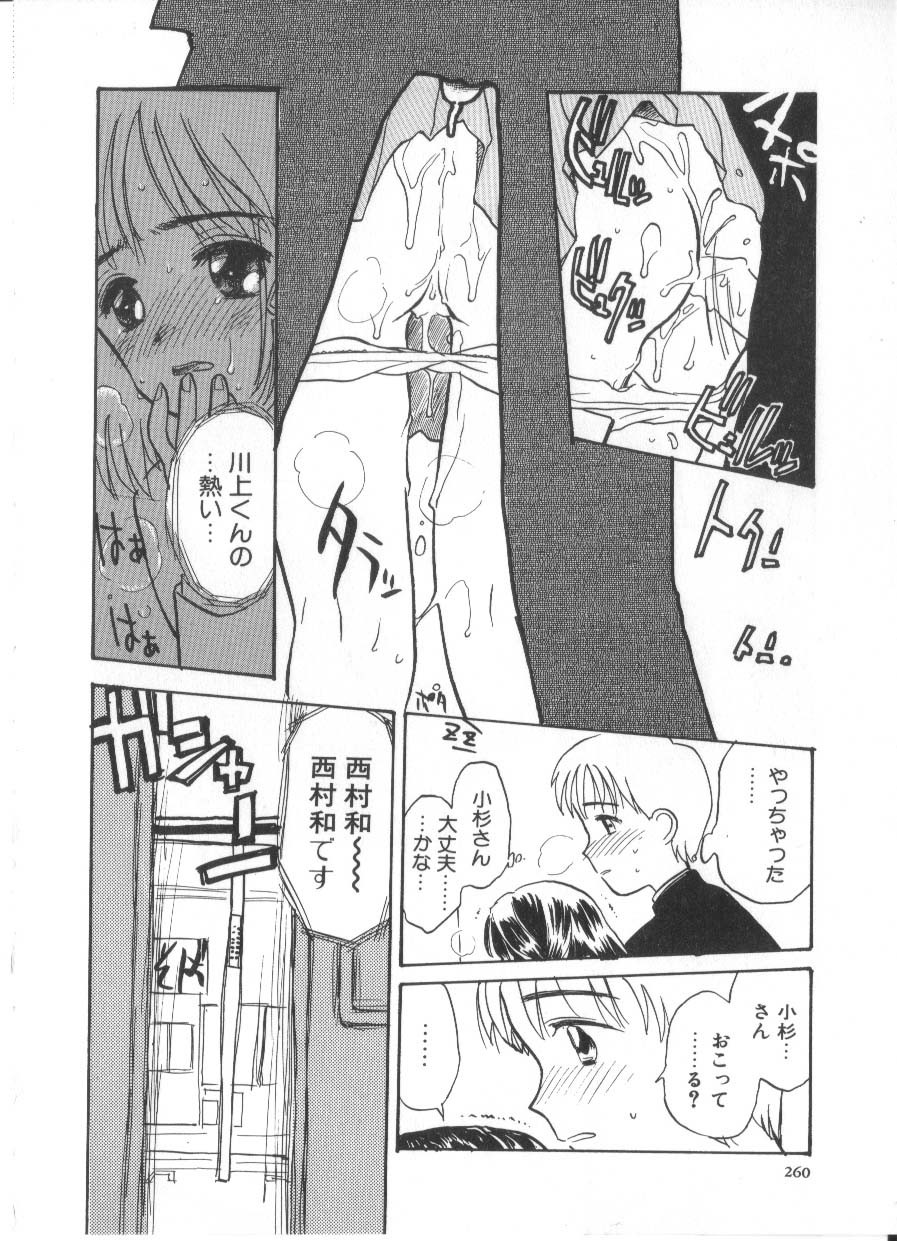 Page 260