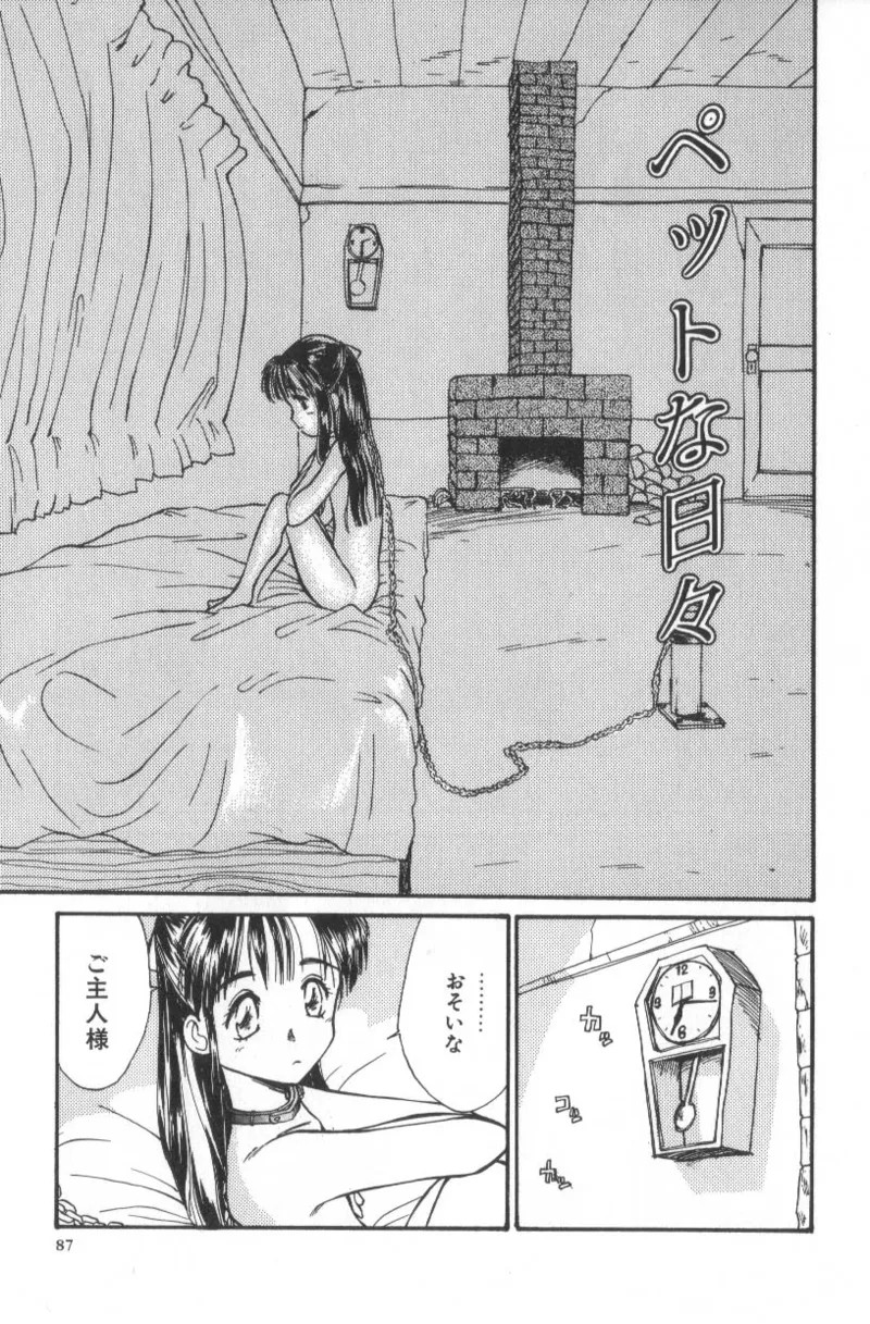 Page 87