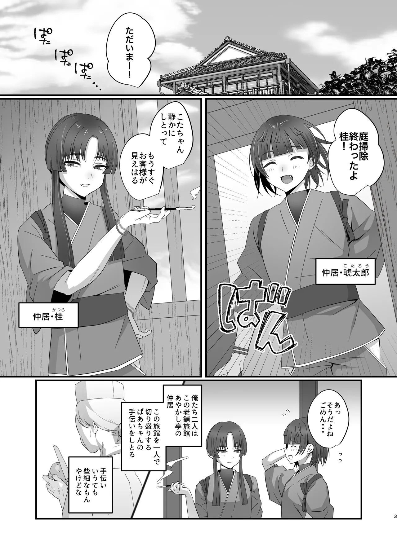 Page 3