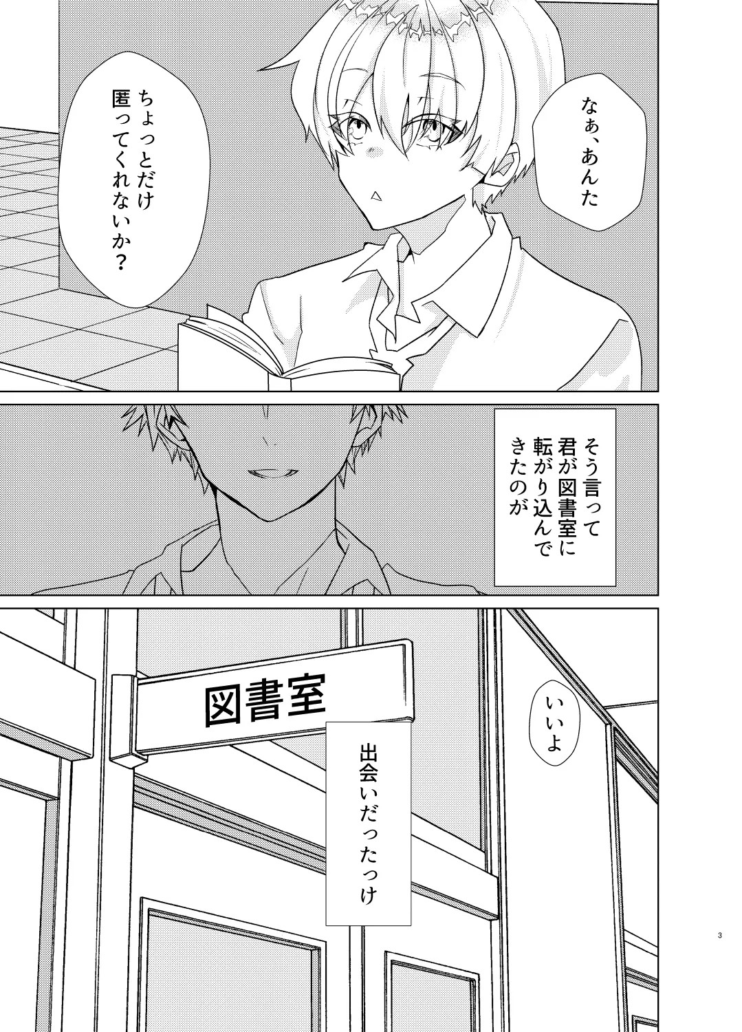 Page 3