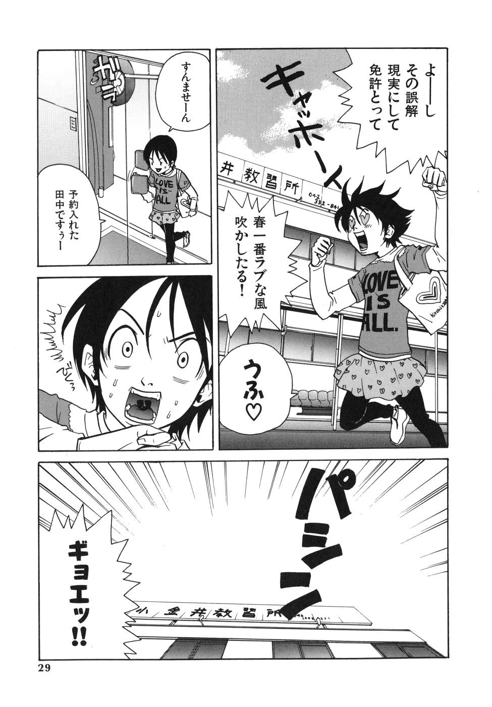 Page 29