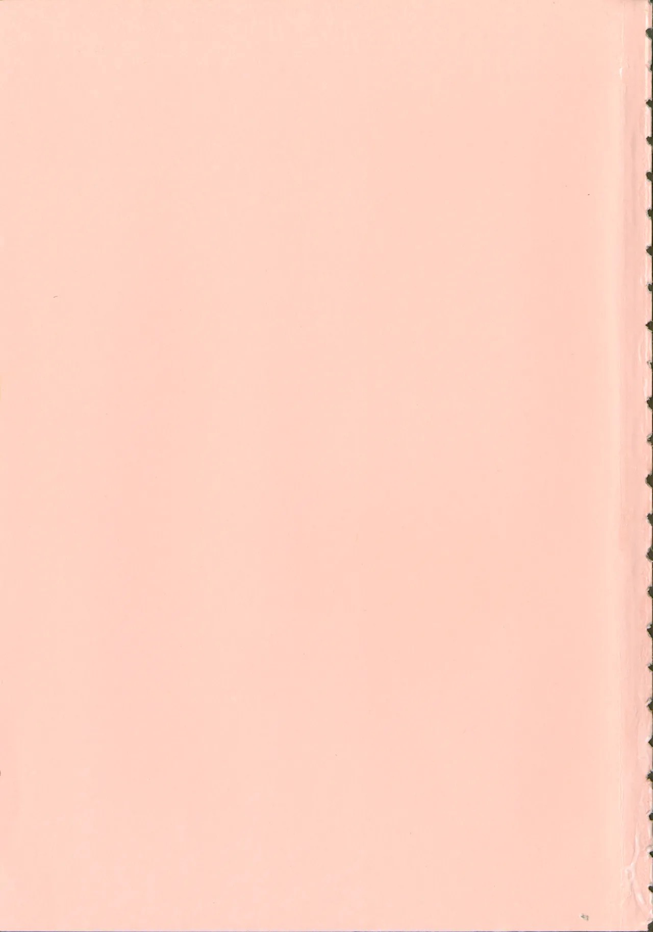 Page 223