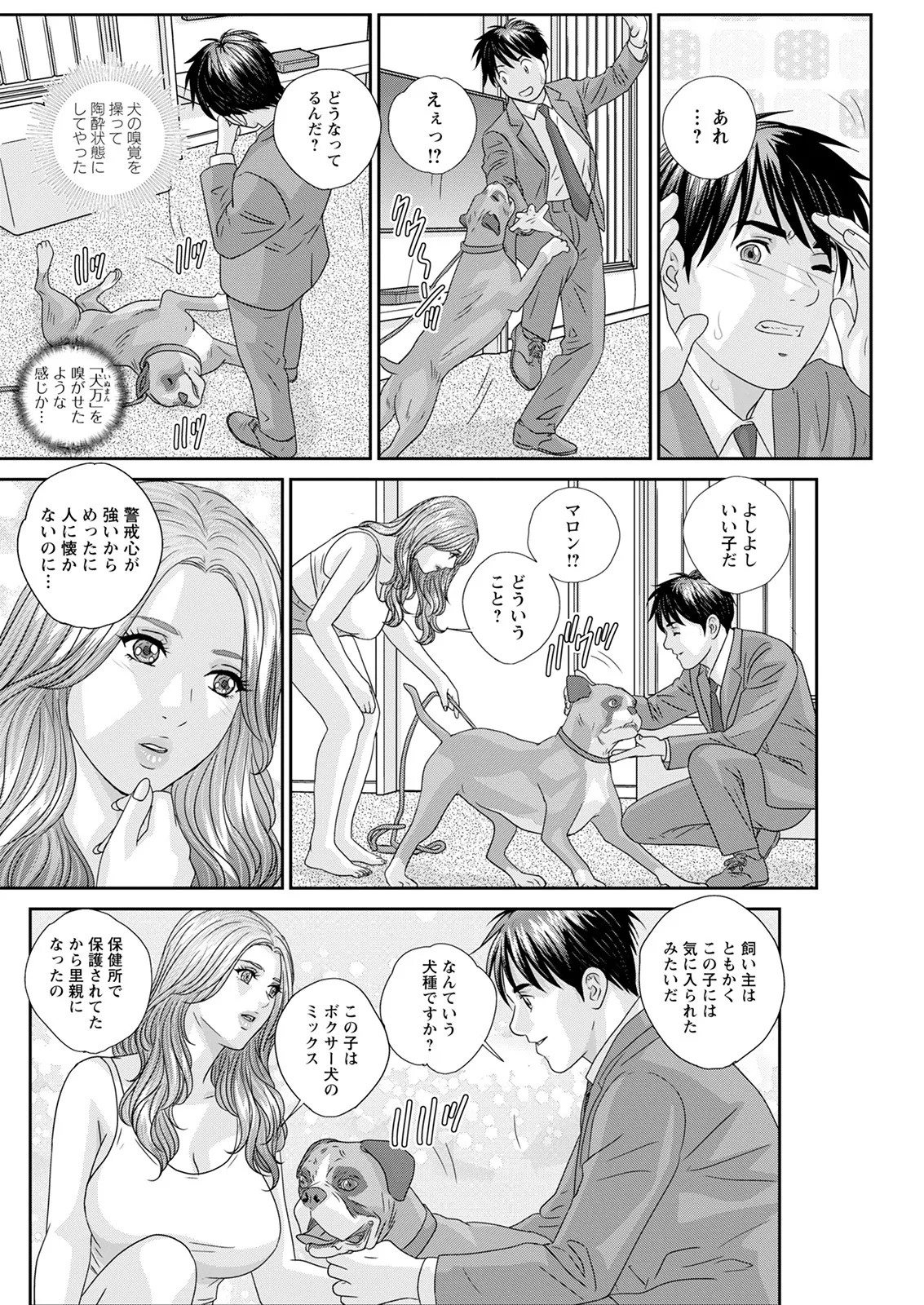 Page 244